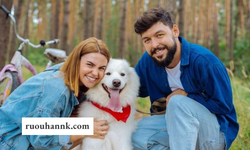 Benefits of Travel Insurance for Pet Owners